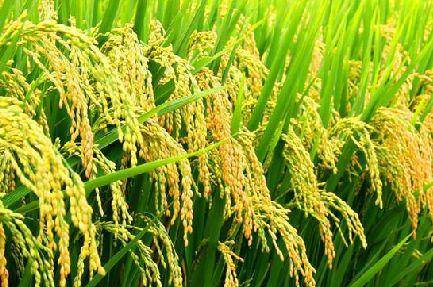 好產品，溯源碼訴說；高品質，細節中彰顯